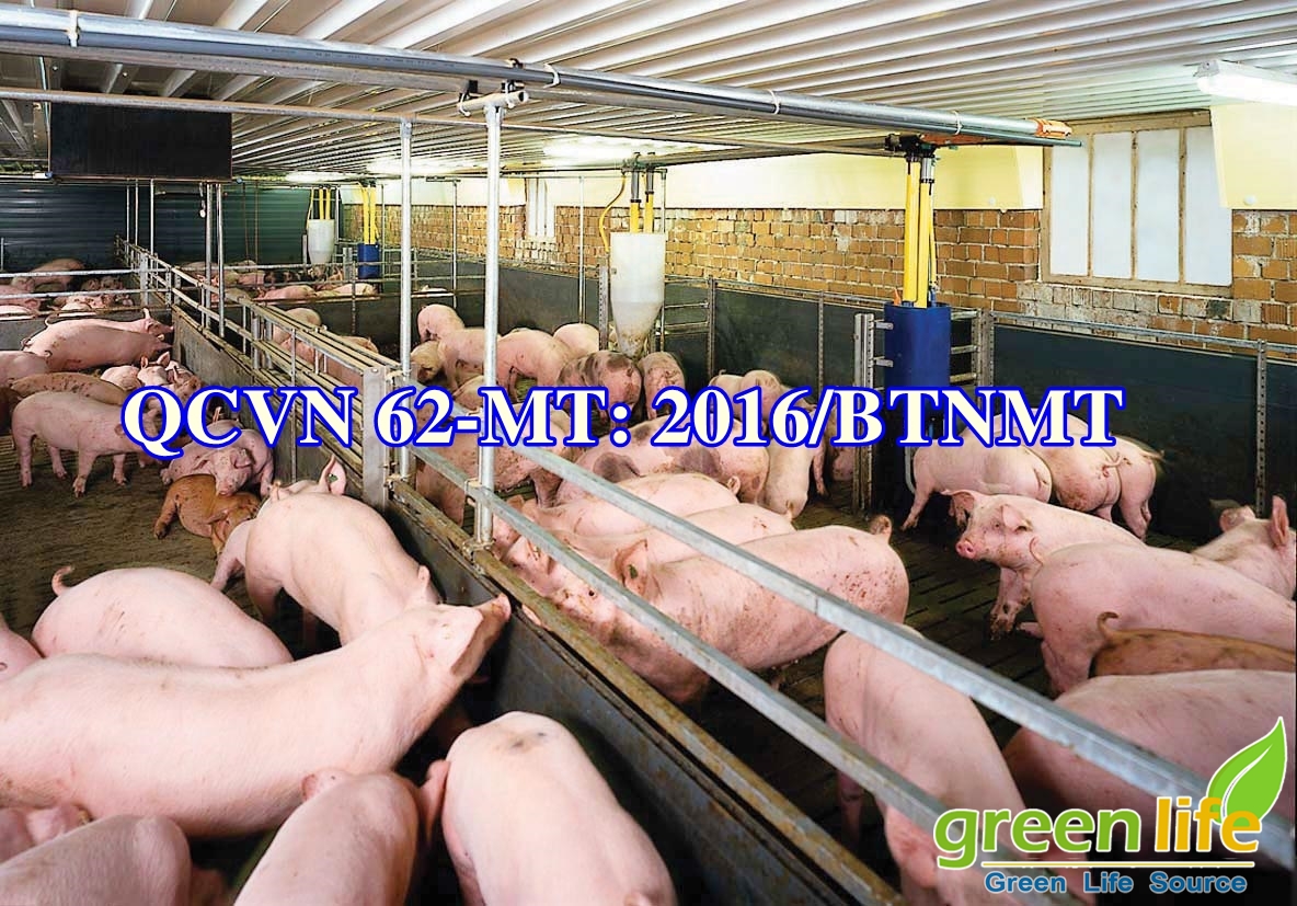 QUY ĐỊNH VỀ NƯỚC THẢI CHĂN NUÔI