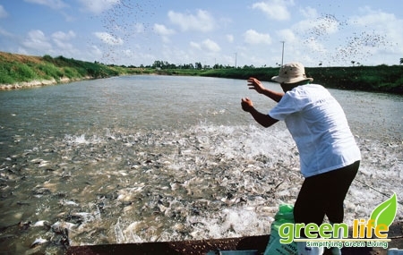 BẢO VỆ MÔI TRƯỜNG TRONG NUÔI TRỒNG THỦY SẢN