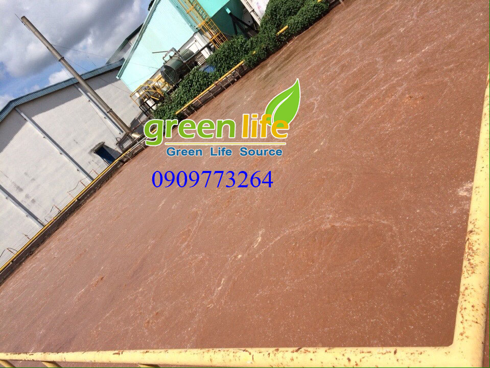 Bán bùn vi sinh hiếu khí tại Mỹ Phước 3