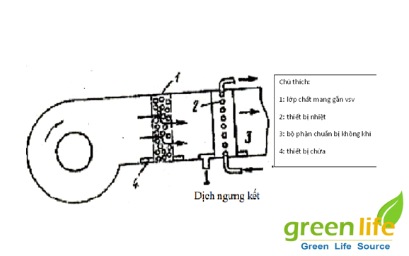 bioreactor